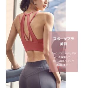 ハイサポート 揺れない スポーツブラ レディース ノンワイヤー カップ付き 3色