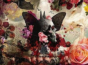 CD/サッズ（Ｓａｄｓ／ＳＡＤＳ）/FALLING Ultimate Edition (CD+DVD初回限定盤)