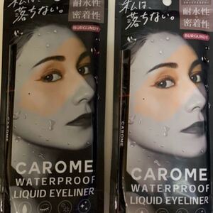 CAROME. リキッドアイライナー バーガンディ 2本