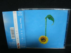 【中古CD】 Aqua Timez / 決意の朝に