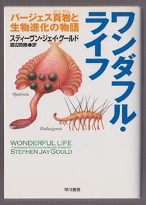 ワンダフル・ライフ　バージェス頁岩(けつがん)と生物進化の物語　スティーヴン・ジェイ・グールド／渡辺政隆訳　2000年　ハヤカワ文庫