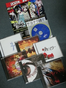 the Raid.（レイド）CD6枚 おまけチラシ＆DVD