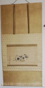 Art hand Auction 西山芳園 菩提樹 寒菊 花図 桐箱 茶掛軸 本物保証, 美術品, 絵画, 水墨画