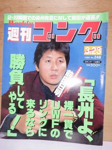 週刊ゴング　　　　１９８９年３月２３日　　　　　No.２４８　　　　　　　　　　　日本スポーツ出版社