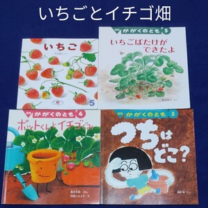 こどものとも かがくのとも いちごといちご畑のセット 福音館書店