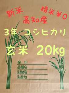 送料込み 令和3年産 高知県産 コシヒカリ玄米20㎏(袋込み)
