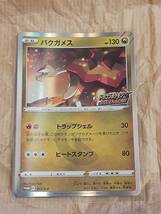 バクガメス　PROMO 211/S-P　ポケモンカード　ドラゴンポケモンVゲットチャレンジ_画像1