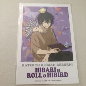  не использовался Katekyo Hitman REBORN сотрудничество Cafe открытка .... roll * Reborn SMILE BASE CAFE Ikebukuro ограничение Coaster привилегия 