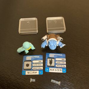 フルカラーアドバンス ゼニガメ カメックス 中古品 ポケモン フィギュア ポケットモンスターの画像4