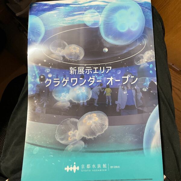 【京都水族館限定】クラゲ　クリアファイル