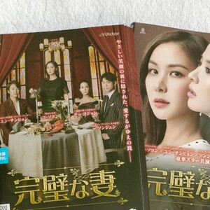 完璧な妻 DVD 韓国ドラマ 全話 コ・ソヨン ユン・サンヒョン チョ・ヨジョン