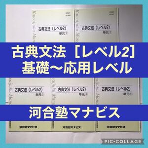 河合塾 テキスト 古典 文法 基礎 大学 受験 入試 私大 私立大 共通テスト 基本 高校 国公立 問題集 高3 入試 応用 古文