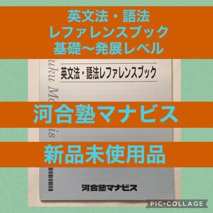 河合塾 テキスト 英文法 語法 レファレンス 基礎 大学 受験 入試 私大 共通テスト 応用 高校 国公立 高3 入試 英語 文法