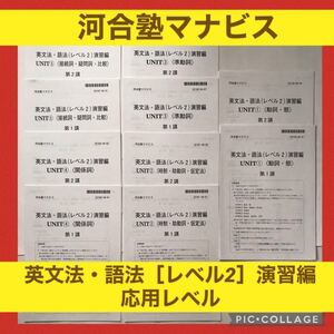 河合塾 テキスト 英文法 語法 演習 大学 受験 入試 私大 共通テスト 高校 国公立 問題集 高3 入試 英語 応用 英文 文法