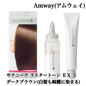 【新品・未使用】Amway(アムウェイ) サテニーク ラスタートーン EX 5 ダークブラウン