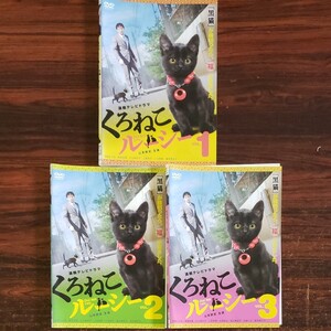 レンタル版DVD くろねこルーシー 全3巻 山本耕史 京野ことみ 塚地武雄