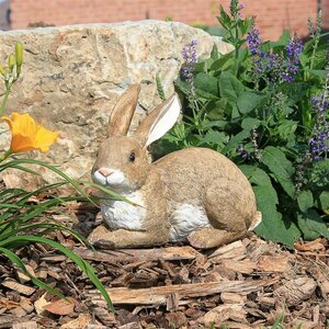  garden . seat .... rabbit garden outdoors ornament objet d'art decoration garden outdoor figure interior ornament . animal to exterior small articles sculpture miscellaneous goods flower . equipment ornament 