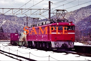 Ｆ-18【鉄道写真】Ｌ版４枚　EF81　貨物列車　（１）
