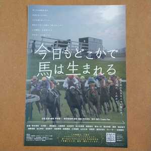 映画チラシ　【今日もどこかで馬は生まれる】　B5 邦画