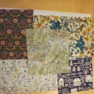 リバティ タナローン はぎれ 5枚