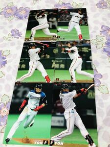 カルビープロ野球チップスカード セット売り 読売ジャイアンツ 巨人 北海道日本ハムファイターズ 陽岱鋼