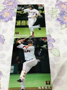 カルビープロ野球チップスカード セット売り 読売ジャイアンツ 巨人 坂本勇人