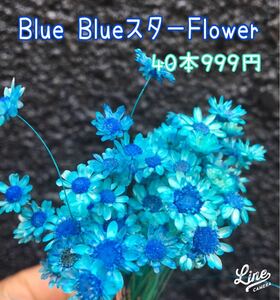 ブルーブルースターフラワー★40本 ハーバリウム花材