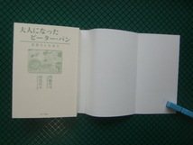 「大人になったピーター・パン」　２００７年・アートデイズ_画像2