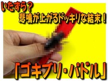 0369★いたずら？悲鳴が上がるドッキリな結末！！「ゴキパドル」_画像1