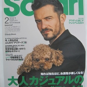 Safari(サファリ) 2021年 02 月号 [大人カジュアルの強敵ブランド <未使用に近い>