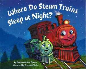 Ｗｈｅｒｅ　Ｄｏ　Ｓｔｅａｍ　Ｔｒａｉｎｓ　Ｓｌｅｅｐ　ａｔ　Ｎｉｇｈｔ？