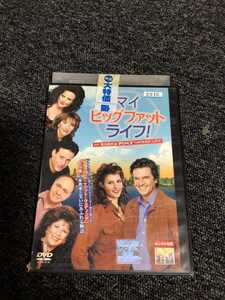 ☆レンタル落ちDVD マイ ビッグ ファット ライフ! (MY BIG FAT GREEK LIFE) [G2946]☆