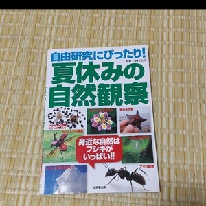 自由研究にぴったり!夏休みの自然観察