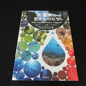 本 『大浦湾の生きものたち 琉球弧・生物多様性の重要地点、沖縄島大浦湾』 ■送120円 南方新社　700種 辺野古の海図鑑○