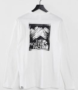 THE NORTH FACE ノースフェイス 海外限定・日本未発売Tシャツ XS