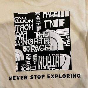 THE NORTH FACE ノースフェイス 海外限定・日本未発売Tシャツ L