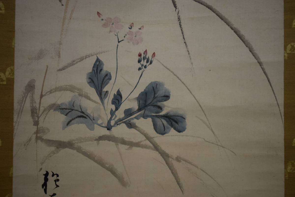 [Reproduction] // Sakai Hōitsu/Flower/Hoteiya hanging scroll HI-559, Painting, Japanese painting, Flowers and Birds, Wildlife