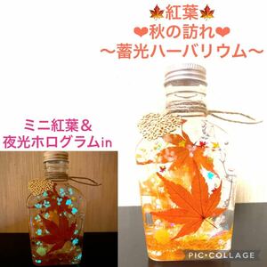 【紅葉】〜秋限定〜紅葉＆蓄光ホログラムin ハーバリウムM ウィスキー瓶♪