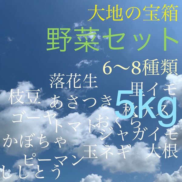 野菜セット　5kg　6〜8種類　大地の宝箱