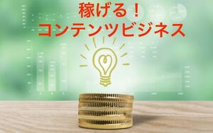 知恵の実　コンテンツビジネスの真の稼ぎ方　いくらでも稼げる最強知識　誰でも月収１００万円に到達