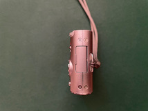 【赤外線カメラ】Panasonic LUMIX DMC-FX60 赤外線フィルターIR-76換装改造_画像3