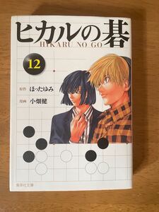 ヒカルの碁 12 文庫本