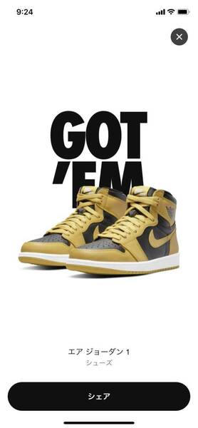 NIKE AIR JORDAN 1 RETRO HIGH OG POLLEN US8.5/26.5cm 2021/8/23発売 SNKRS購入 国内正規新品 黒タグ付 エアジョーダン レトロ パラン