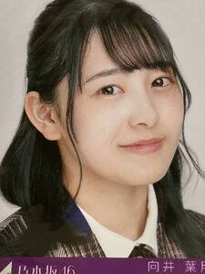 Art hand Auction Nogizaka46 28ème single Kimi ni grondé Première édition limitée Pas à vendre Photo brute Hazuki Mukai Article non ouvert Hazuki, Ligne Na, de, Nogizaka46