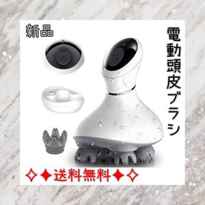 電動ブラシ IPX7防水 日本3D技術 乾湿両用 浴室利用可コードレス