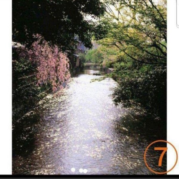7 タペストリー 桜 川 緑 背景布