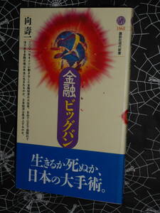 新書 【 金融ビッグバン 】　講談社現代新書 向寿一