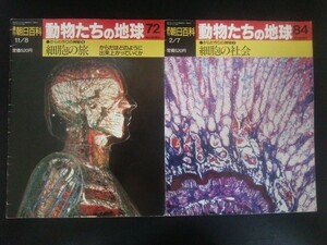 Ba1 11782 週刊朝日百科 動物たちの地球 1992年11/8号(072) 1993年2/7号(084) 2冊セット からだ作りの神秘6・7 細胞の旅 細胞の社会 他