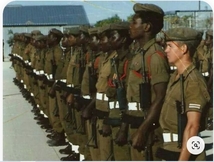 実物 南西アフリカ領域軍 ナミビア SWATF 階級章 中佐 ペア_画像3