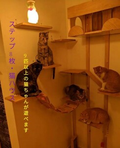 【猫カフェ】キャットタワー&猫ハウス